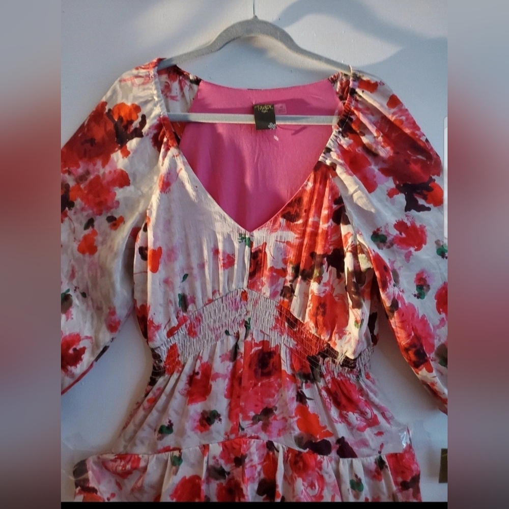Taylor Floral Red and Pink Dress - Picture 5 of 7